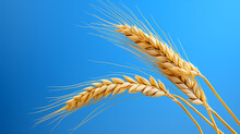 Close Up Of Wheat Stalk, Generative Ai