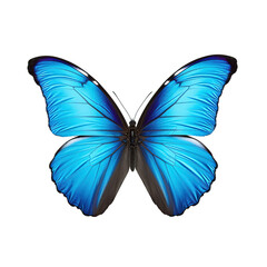 Aufkleber - Blue Tropical Butterfly