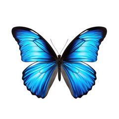 Aufkleber - Blue Tropical Butterfly