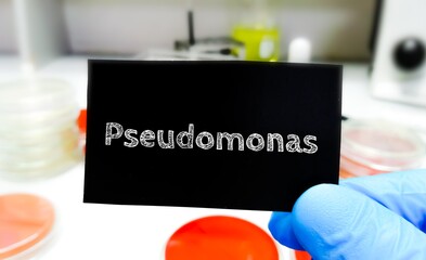 Sticker - Pseudomonas bacteria. medical and healthcare conceptual image.