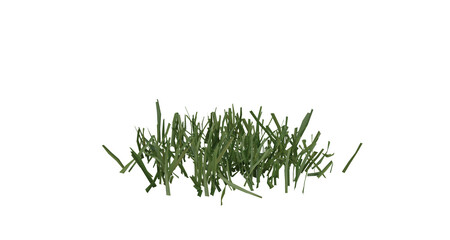 Fototapete - Bunches of grass on a transparent background. 3D rendering.	