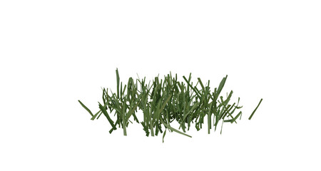 Sticker - Bunches of grass on a transparent background. 3D rendering.	