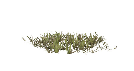 Fototapete - Bunches of grass on a transparent background. 3D rendering.	