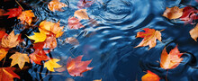 Colorful Fall Leaves In Pond Lake Water, Floating Autumn Leaf. Fall Season Leaves In Rain Puddle. Sunny Autumn Day Foliage. October Weather, November Nature Background. Digital Ai