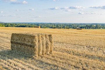 Wall Mural - A large bale of straw in a harvested wheat field on a hill with other bales in the background and a blue sky.