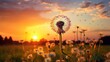  a dandelion in a field with the sun setting in the background.  generative ai