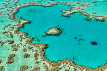 Wall Mural - Heart Reef. Hardy reef. Great Barrier Reef. Queensland. Australia