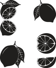 Lemon Silhouette Vector Set Illustration. Half Lemon Or Orange Hand Drawn On White Background.