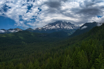 Wall Mural - View from over the tree tops of Mt Rainier covered by grayish-white clouds.