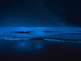Wall Mural - Sea waves rolling onto sandy beach under starry sky at night