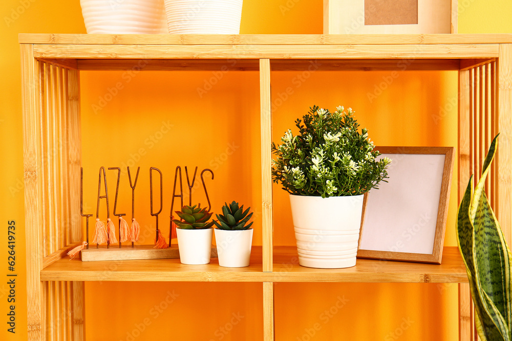 Shelving unit with houseplants, frame and decor near yellow wall