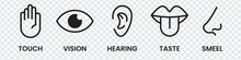 Human Sense Icons. Five Human Senses Icons. Vision Smell Hearing Touch Taste Senses Filling, Vector Illustration Eps 10