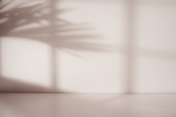 Poster - Empty room with window and palm leaf shadow