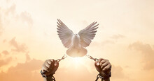Chains On Hand That Transform Into Peace Birds. Freedom And Charge Concept