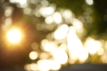 sunrays. nature blurred green background. sun rays. beautiful sun shine through the blowing on wind 