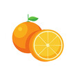 © Serfus - Vector illustration of orange. Juicy orange illustration in section