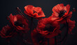 A black background reveals red poppy flowers.