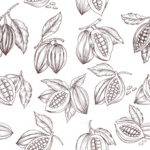 Hand Drawn Cacao Seamless Pattern
