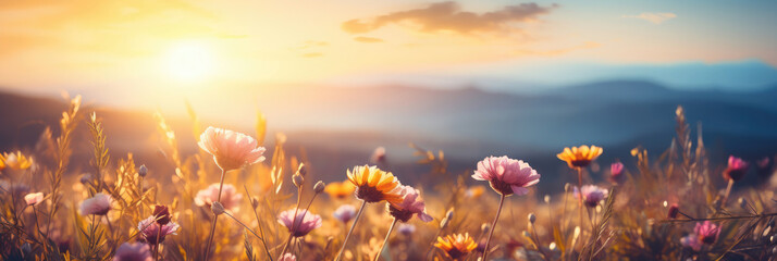 Wall Mural - Blossoms in Sunlight: Captivating Beauty of Sunny Meadows