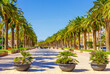 Promenade with palm trees in Salou city, Spain, Europe. Sunny summer