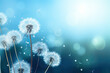 Dandelions in the Wind: Capturing the Magic of Change
