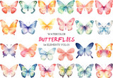 Fototapeta Motyle - Vector watercolor painted butterflies clipart. Hand drawn design elements isolated on white background.