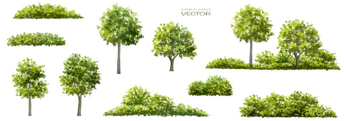 Wall Mural - vector watercolor green tree or forest side view isolated on white background for landscape and arch