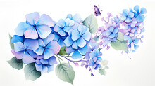 Watercolor Flowers And Butterflies On White Background.