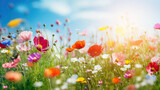 Fototapeta Zachód słońca - Beautiful meadow full of spring flowers