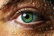 The iris of a green eye