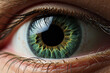 Close up of the iris of a green eye