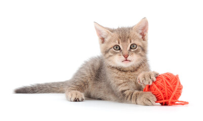 Wall Mural - Kitten with ball of yarn.