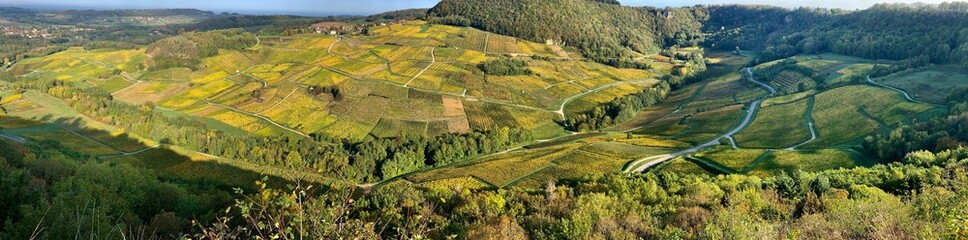 Vignes au piede Château-Chalon (Jura)