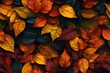 canvas print picture - autumn leaves background