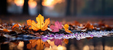 Closeup Of Colorful Autumnal Fallen Leaves On The Floor, And Blurred Bokeh Of Autumnal Landscape In The Background