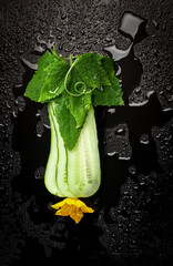 Wall Mural - Cucumber slices with flower, leaf and spiral tendril on black background