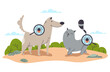 Animal pet dog cat tick attack season concept. Vector graphic design element illustration