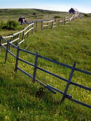 Sticker - durmitor montenegro