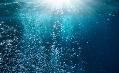 Wall Mural - Sunlight underwater with bubbles rising to water surface and some fish in background, Mediterranean sea, France