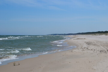 Wall Mural - Baltic Sea coast and wild beach next to moving dunes in the Slovincian National Park also known as Slowinski National Park. Leba, Poland 