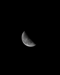 Wall Mural - last quarter moon with black background