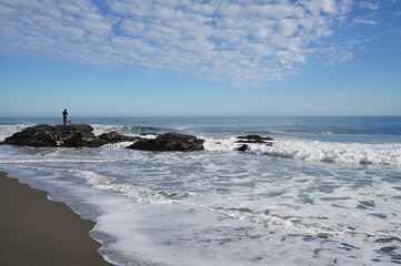 Wall Mural - sea and rocks on the beach during low tide (Pelluhue, Chile)