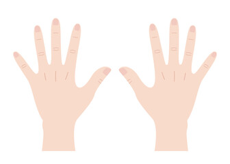 Vector illustration of the back of two hands