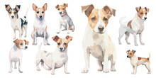 Watercolor Jack Russell Dog Clipart For Graphic Resources