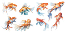 Watercolor Koi Fish Clipart For Graphic Resources
