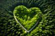 © sam - heart shape forest trees canopy clearing with path