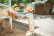 cute baby girl in dress and hat with activity feed food animal in zoo at dwarf horse in sunny day