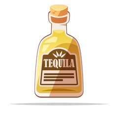 Canvas Print - Bottle of tequila vector isolated illustration