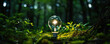 © amazingfotommm - Light bulb plant inside dark green nature.