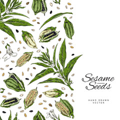 Wall Mural - Seamless border with hand drawn sesame seeds, pods and flowers sketch style